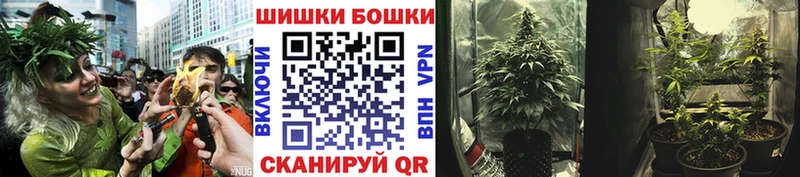 Шишки марихуана индика купить наркоту маркетплейс клад Снежногорск
